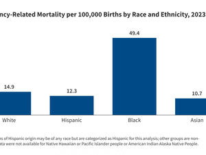 Racial Disparities in Maternal and Infant Health: Current Status and Key Issues